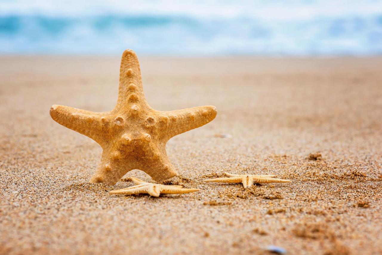 Hotel Mon Repos Lido di Jesolo